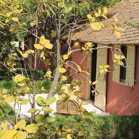 Lampsar Lodge Ndiongo Exterior foto